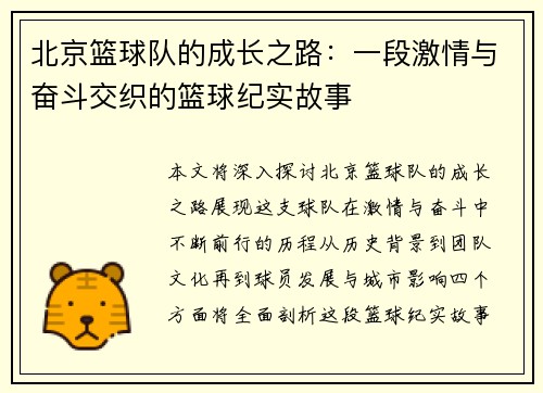北京篮球队的成长之路：一段激情与奋斗交织的篮球纪实故事