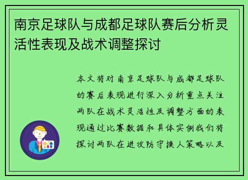 南京足球队与成都足球队赛后分析灵活性表现及战术调整探讨